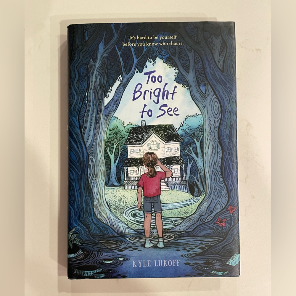 Too Bright to See Preowned book great condition